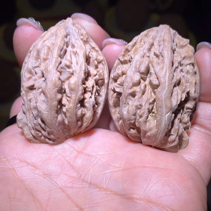 文玩核桃把件东北野生楸子小美6 0