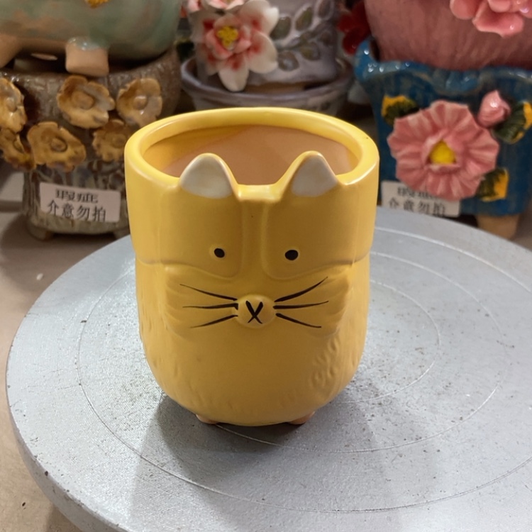【闪购商品】红陶福利福利福利多多