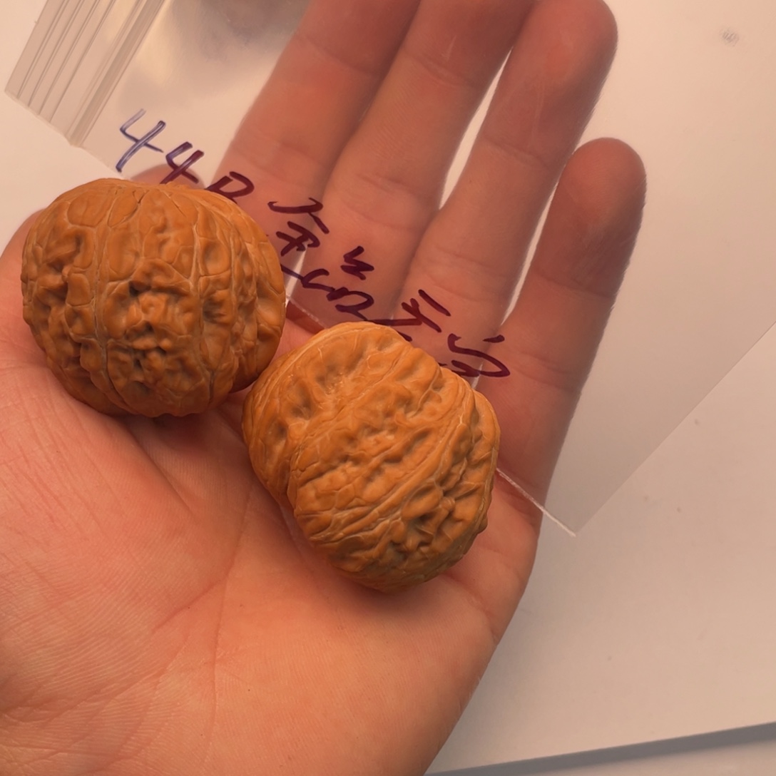 手串/手链核桃010