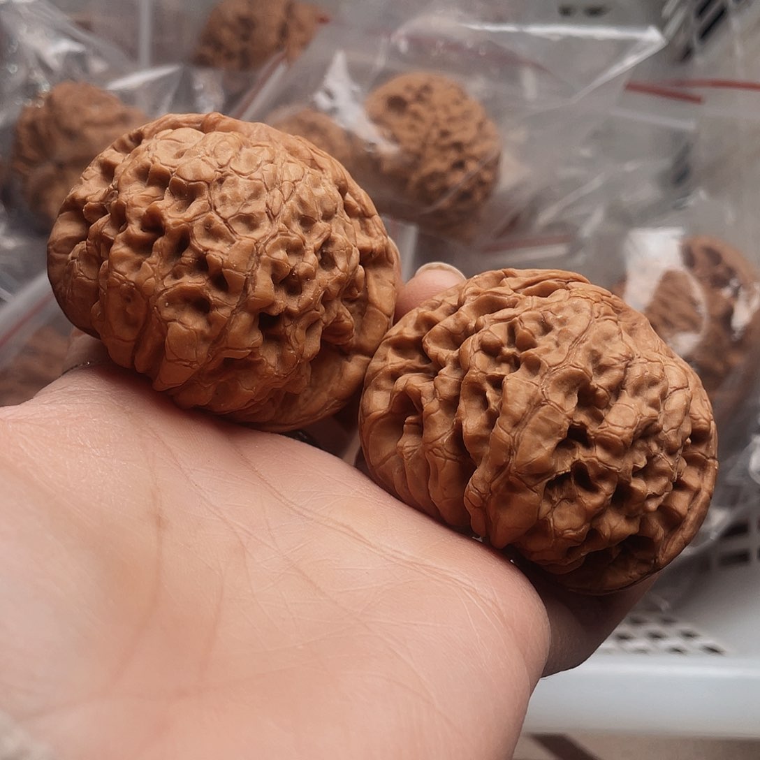 吊坠文玩核桃龙鼎58.8蝉影如