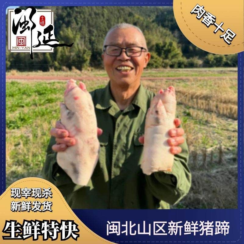 土猪肉黑猪新鲜猪蹄猪脚猪蹄冻新鲜猪蹄子猪手大猪蹄猪爪生猪蹄