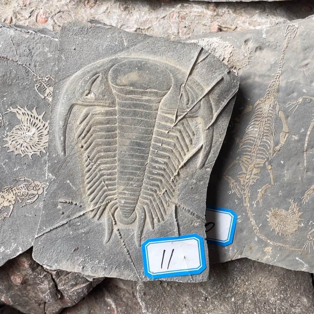 石材1111111111111111111111