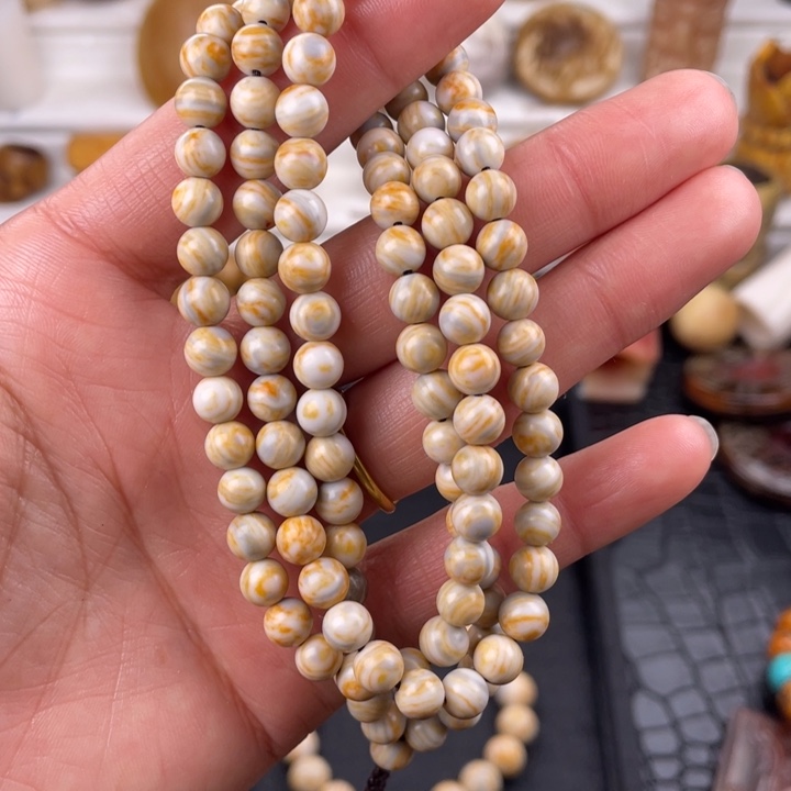 驼骨其他人工养殖0.6