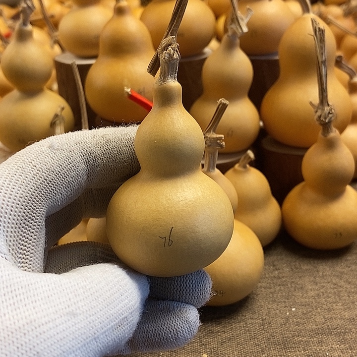 文玩葫芦 完美主义者 慎拍76