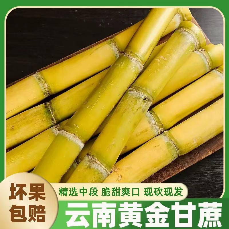 【特惠】云南黄金甘蔗新鲜+浙江陶山甘蔗独立包装脆皮甘蔗产地水果