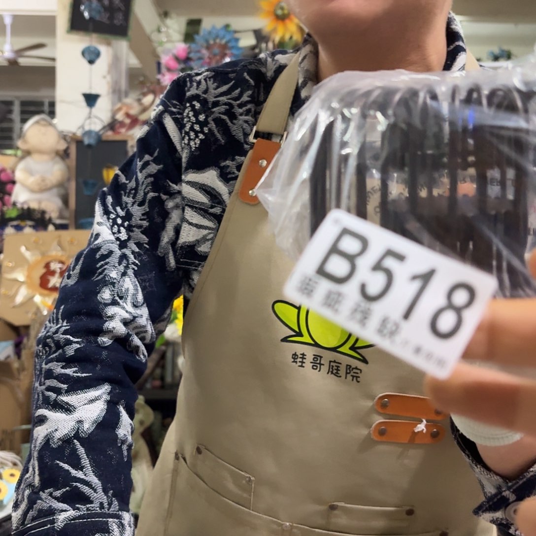 核桃木/黑胡桃（胡桃木）