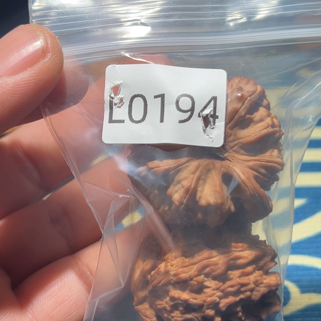 文玩核桃吊坠真*错白狮子