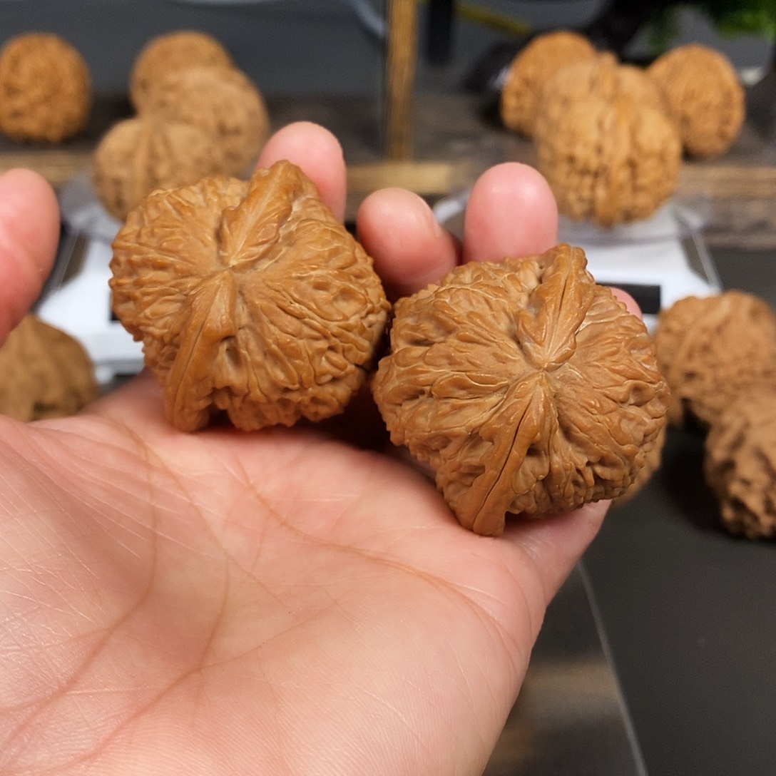 文玩核桃把件红皮老树白狮子骨质超棒