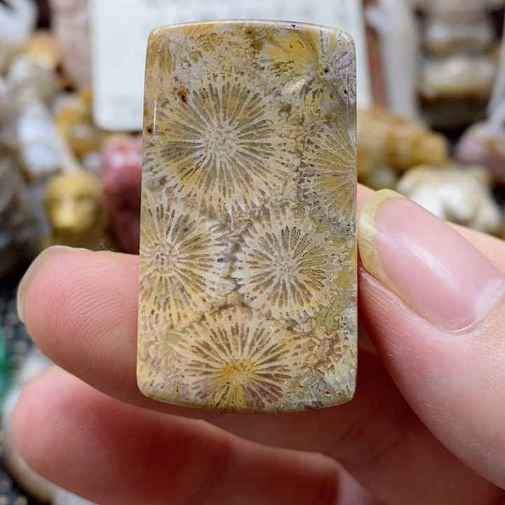 硅化珊瑚（珊瑚玉）颈饰未镶嵌