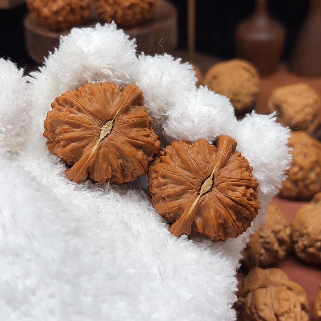 婷****手串/手链核桃白狮子