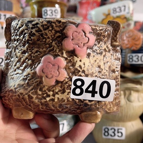 红陶多肉植物花盆