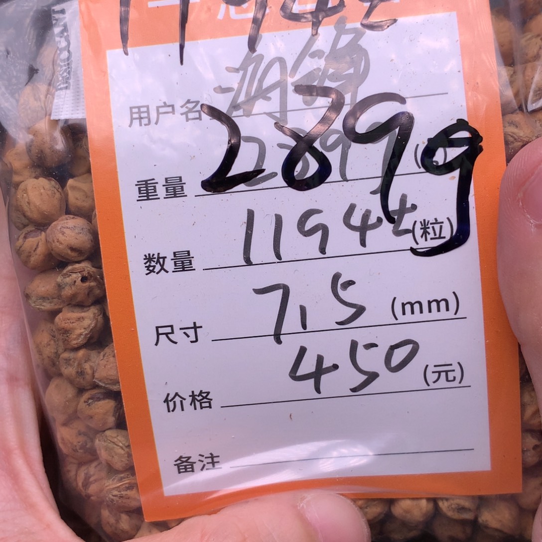 海***锋热振柏香脖挂散籽