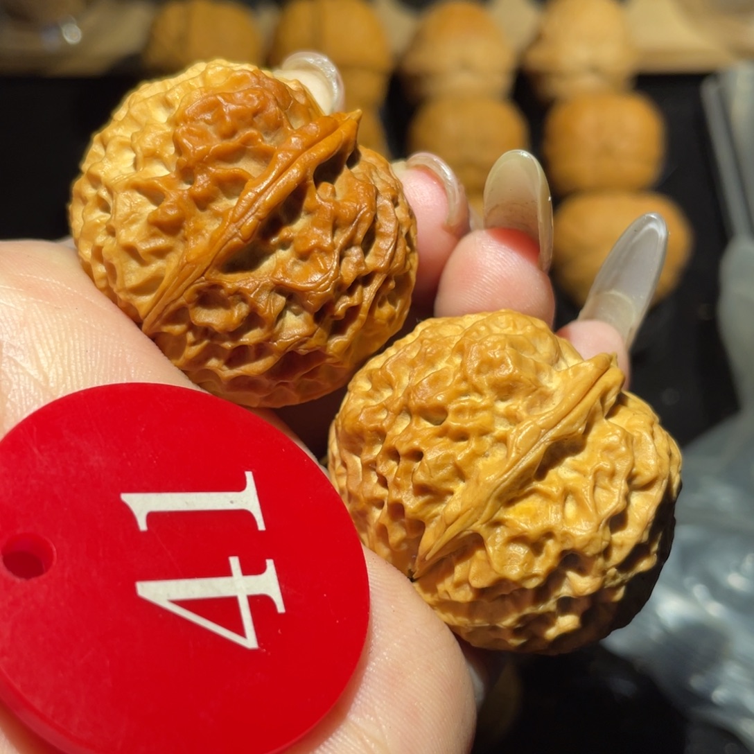 珊瑚元宝36尺寸核桃