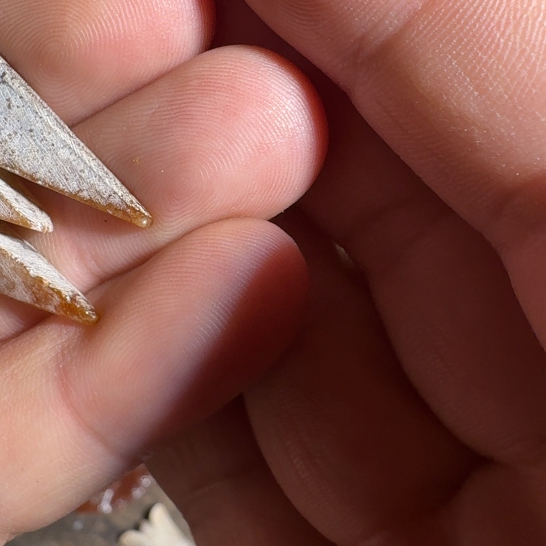 聂***富和田玉（糖玉）未镶嵌挂件