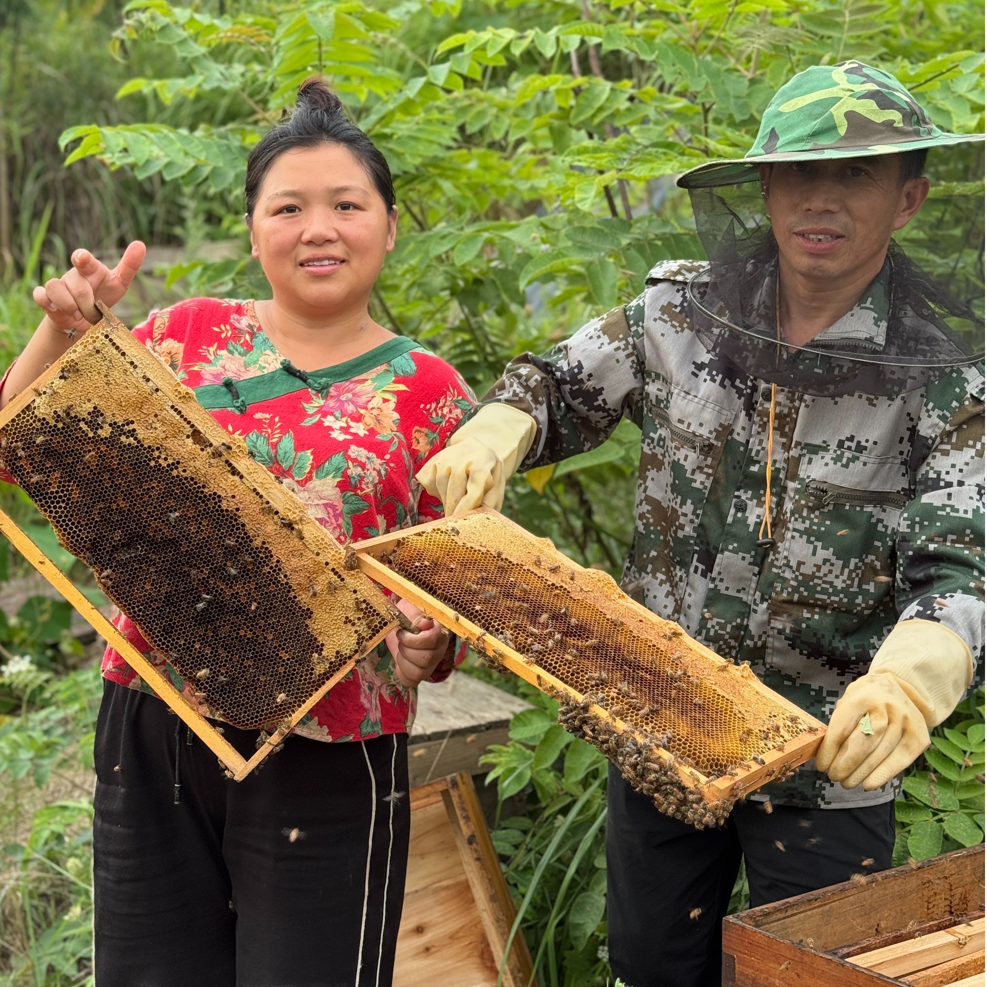 BDA/包德安广安华蓥山五倍子农家高山土蜂蜜一年只采一次0添加