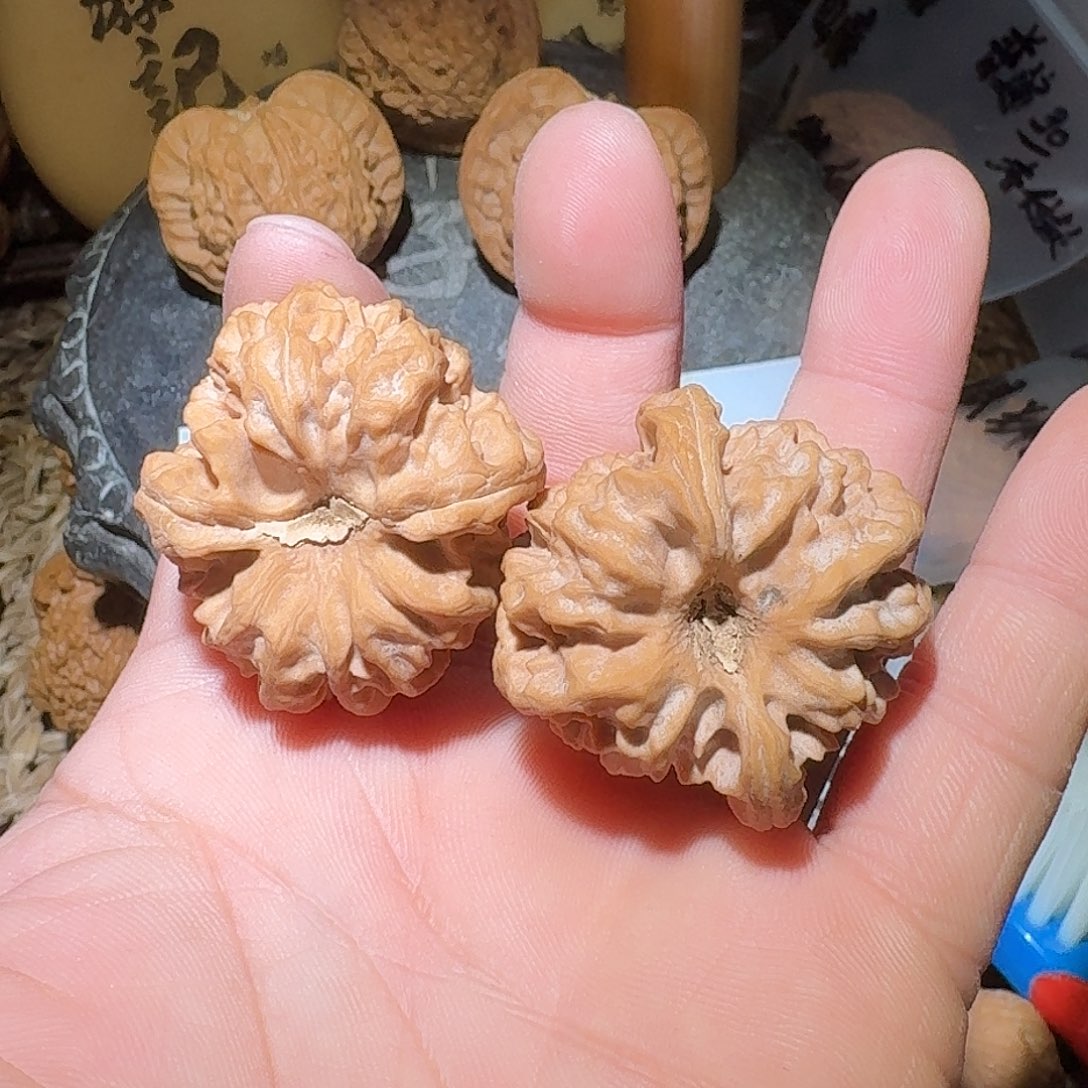 栾****核桃全品曹大龙111111