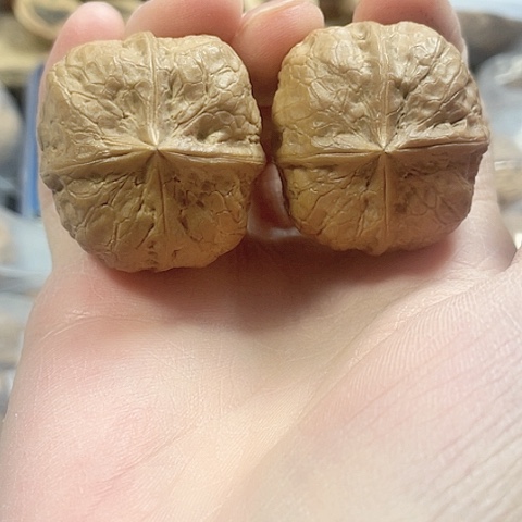 文玩核桃把件血麒麟带彩36