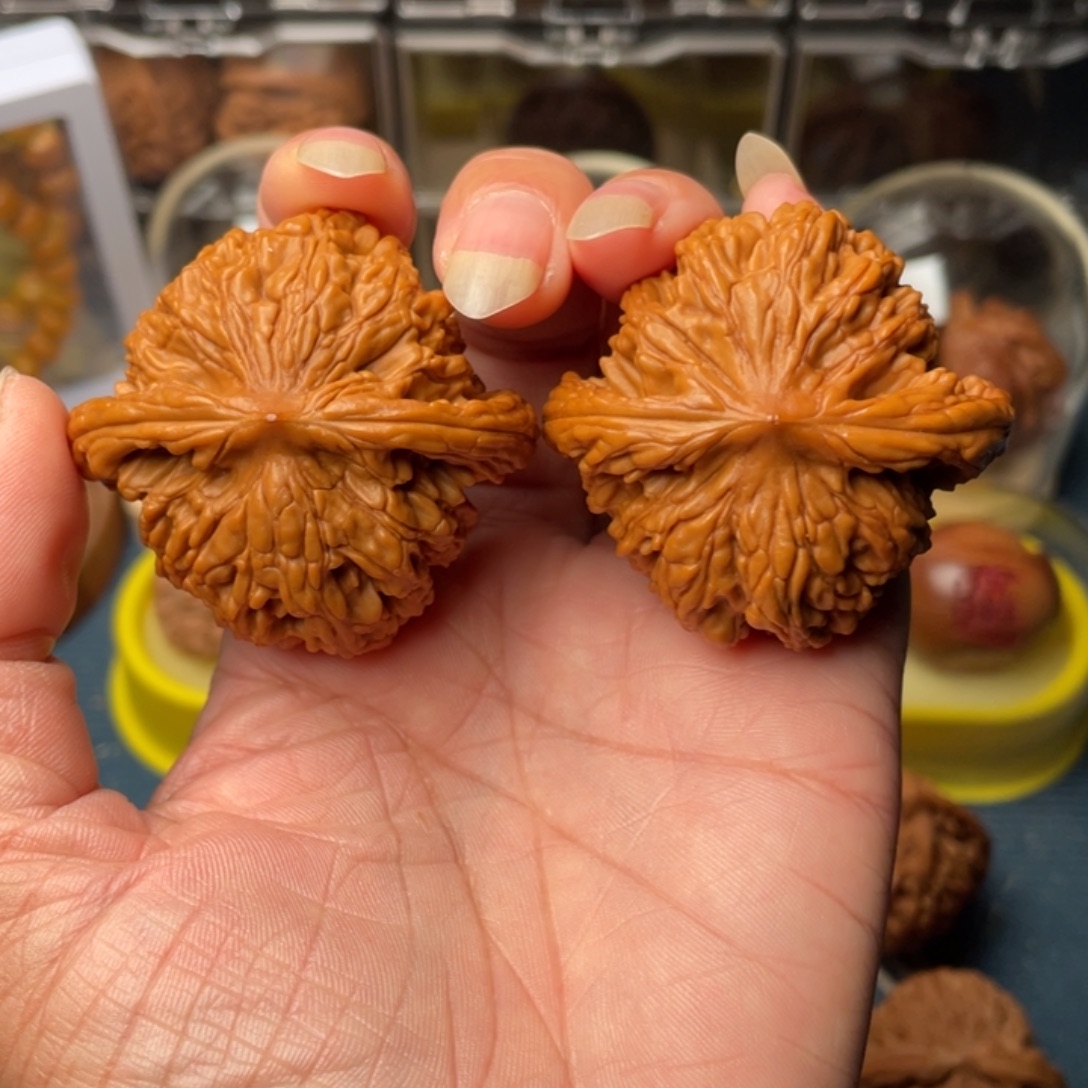 文玩核桃把件48狮虎兽