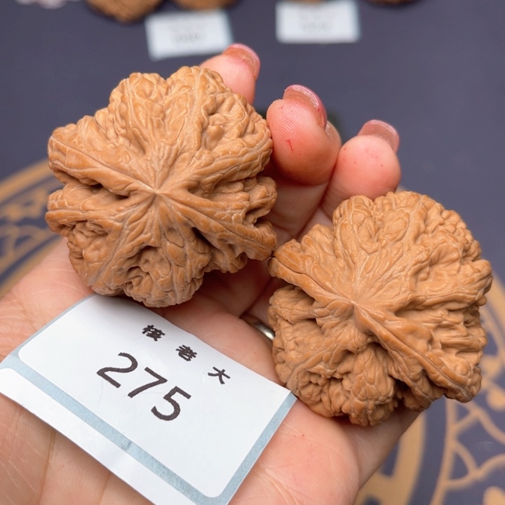 文玩核桃把件43大粗筋 275