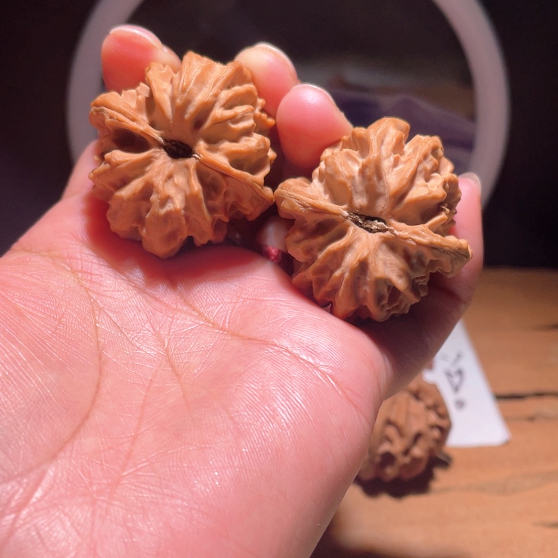 纵****、S007 38尺 大龙