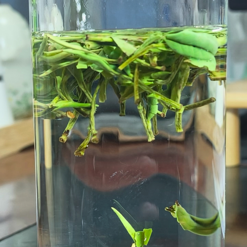 岳西炒青岳西翠兰