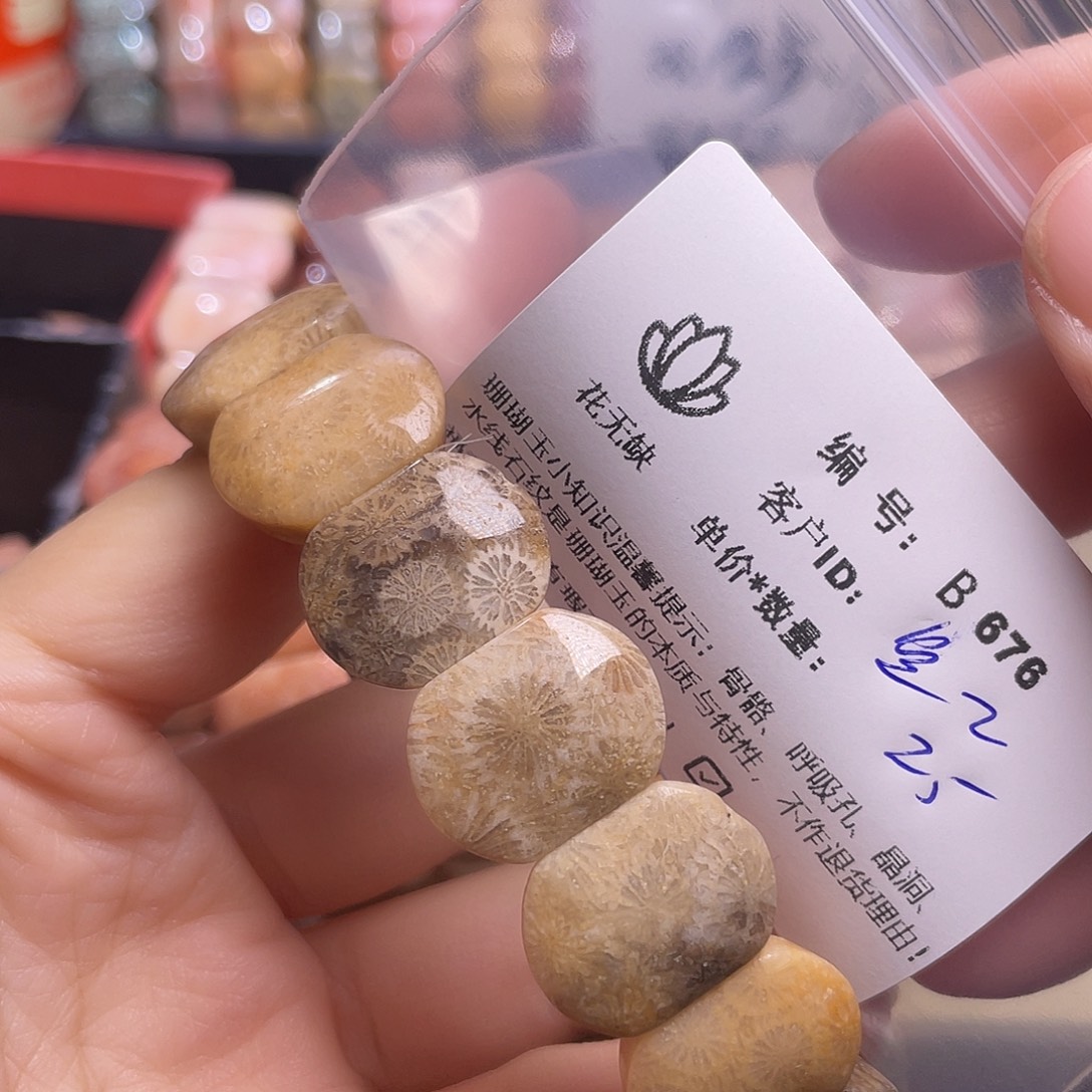 鱼***鱼硅化玉未镶嵌手镯