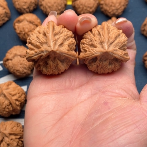 橄榄核手串/手链文山37全品