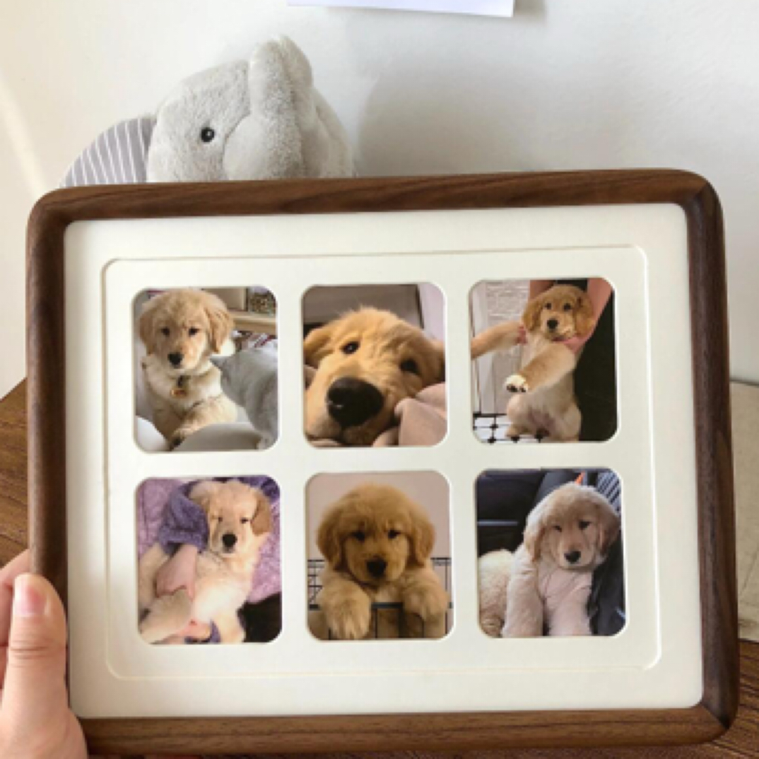 活体通用链接1号相册