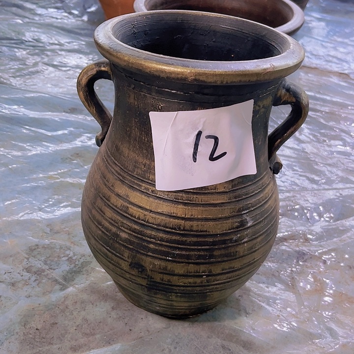 红陶366号24×16金瑕