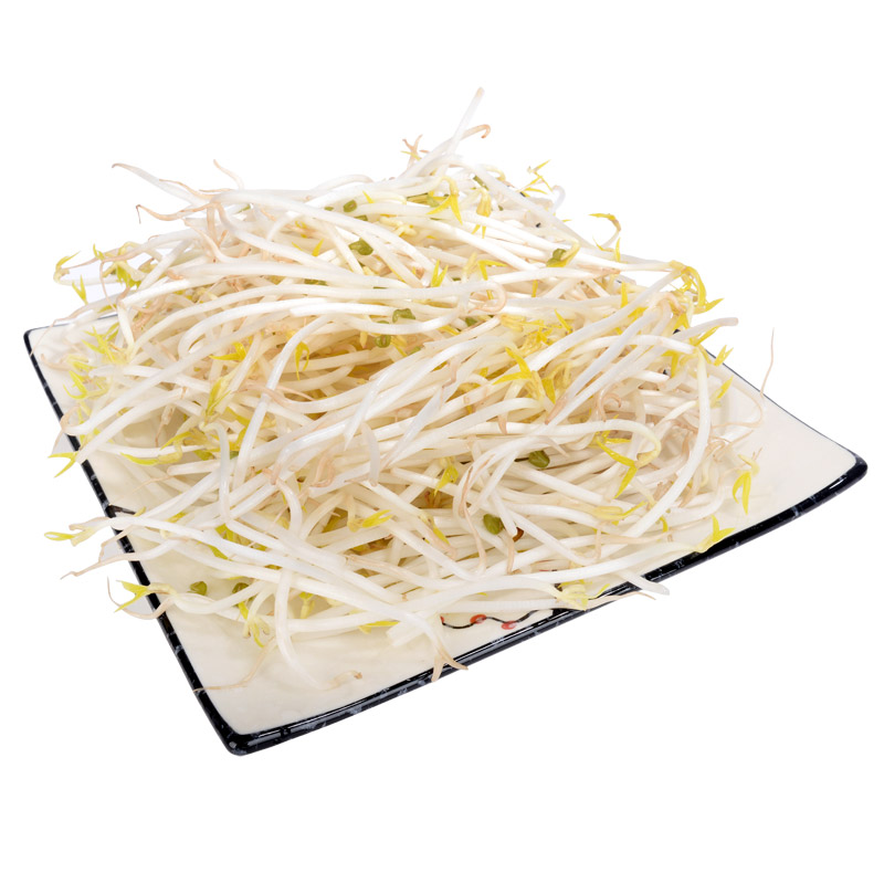 绿豆芽280g-300g/盒