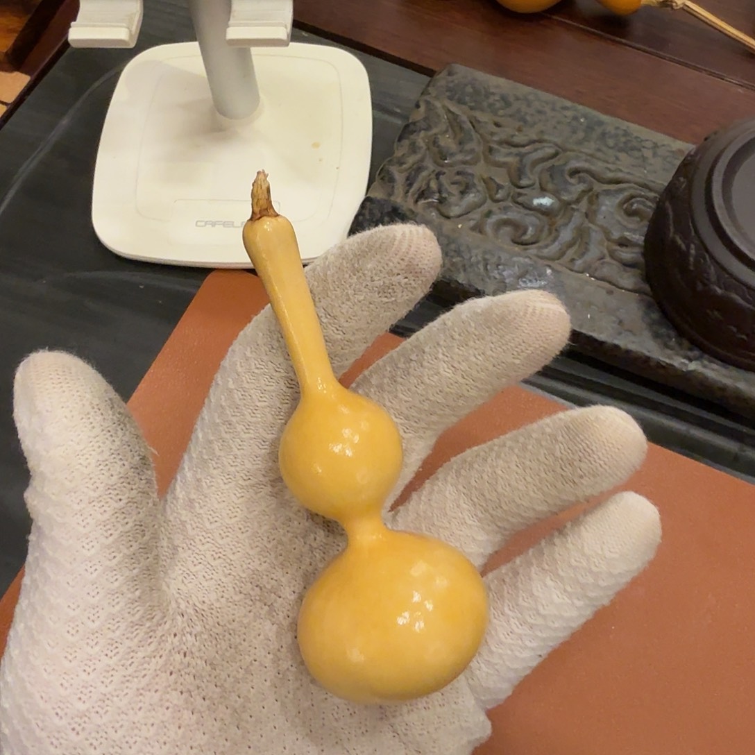 舎得出品精选葫芦SHEDE