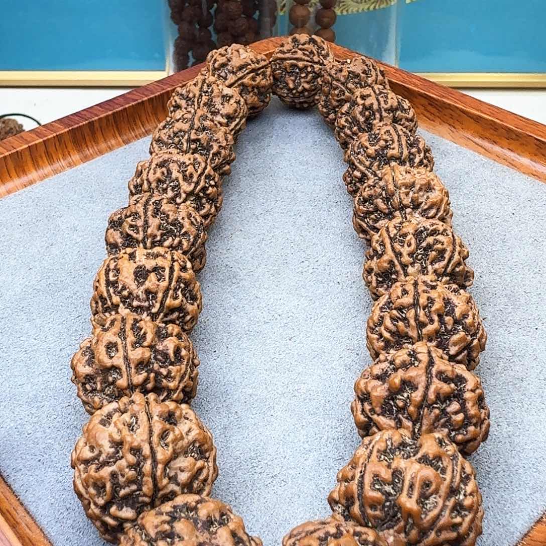 金刚菩提手串大粗筋手持