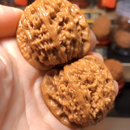 野生小众：蚂蚁沟