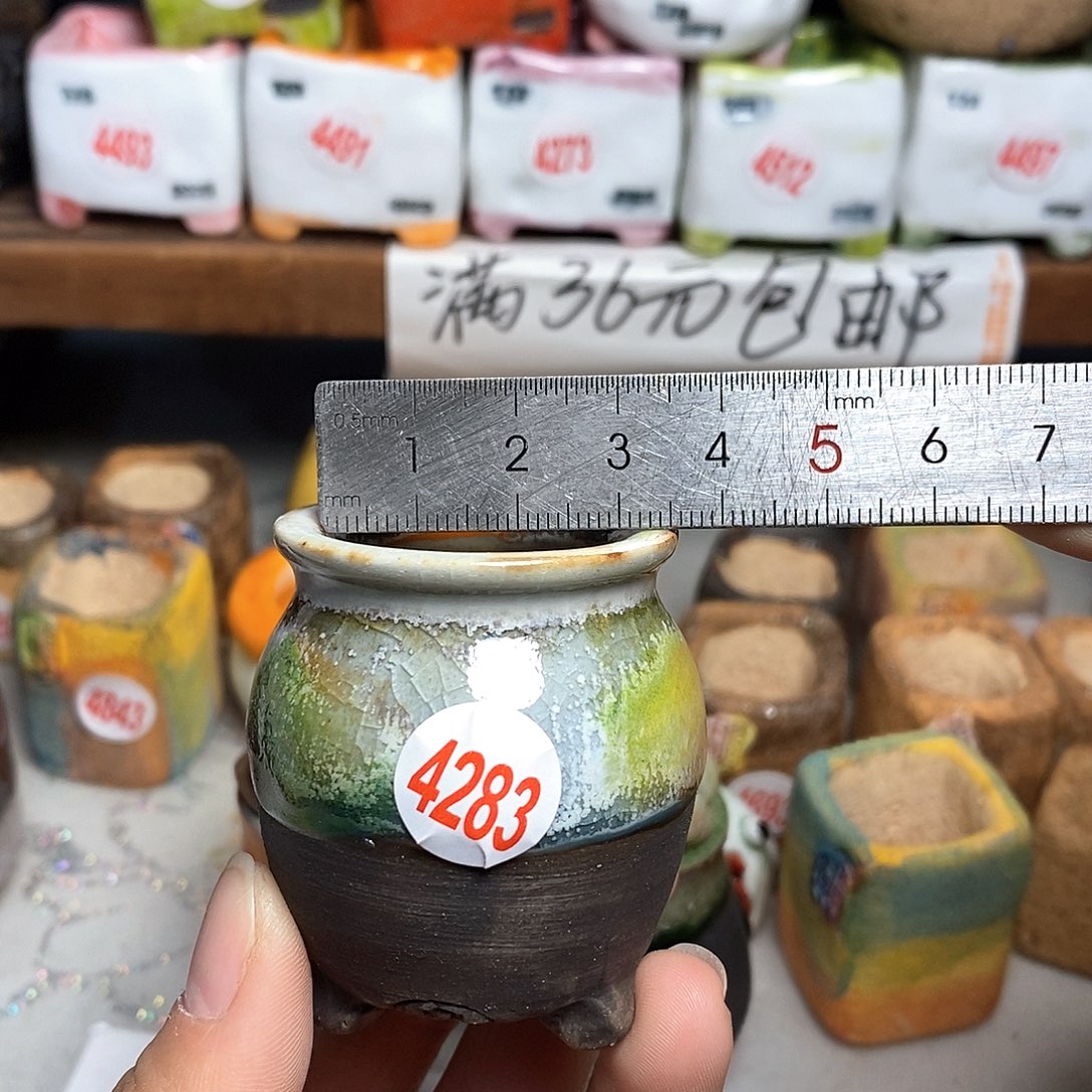 红陶拍5送一个小