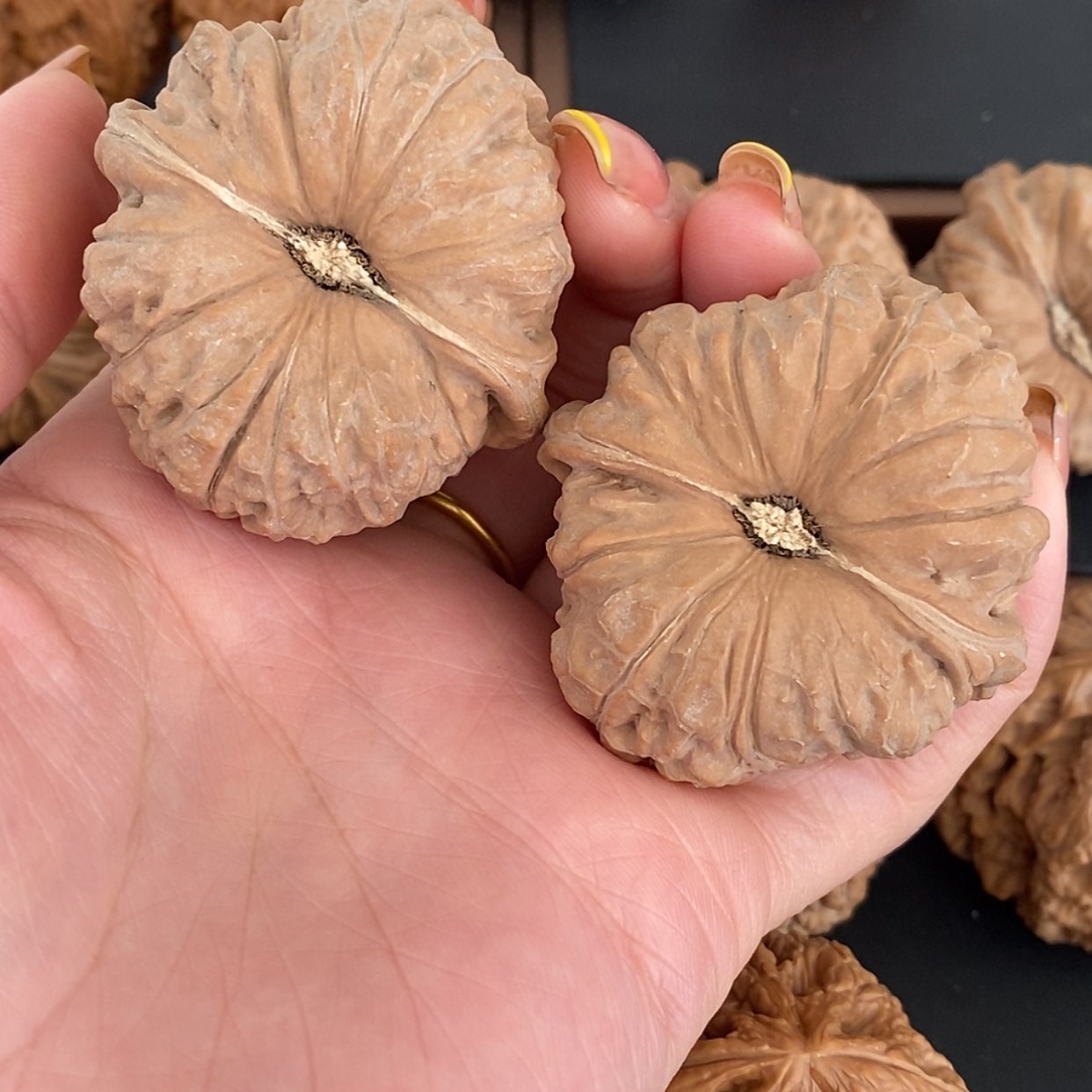 【闪购商品】文玩核桃把件清**月南瓜45