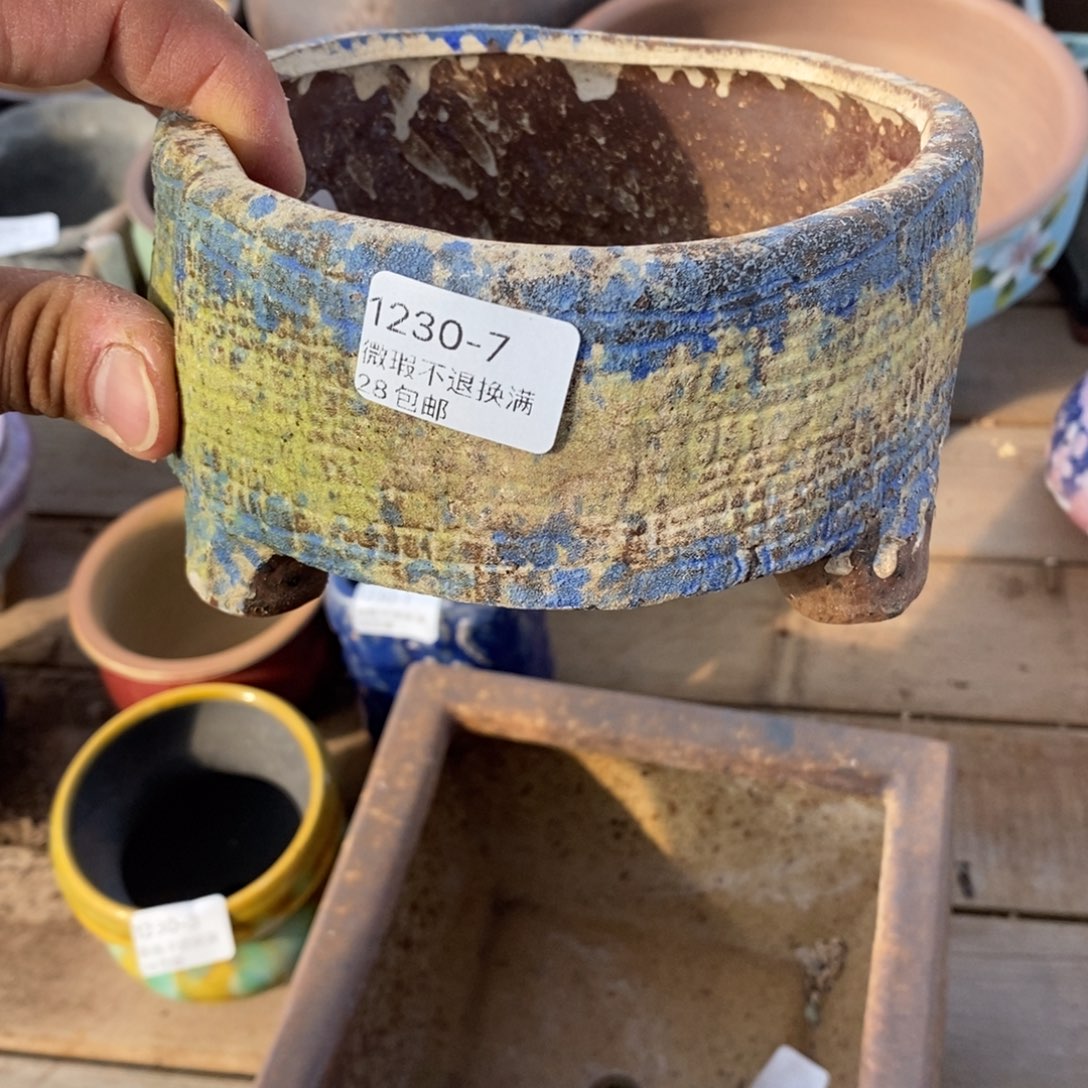 7号花盆内12高7 花盆