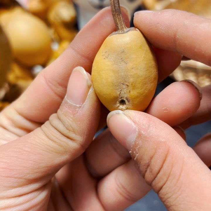 在****—坑多88888888888888888