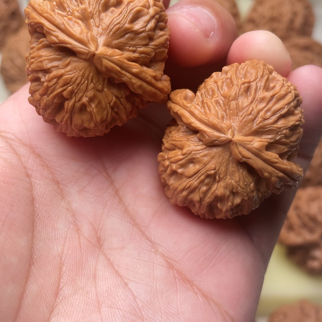 文玩核桃把件白狮子36