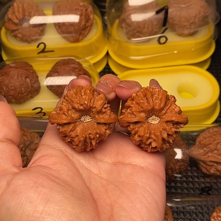 番***蛋42深坑 龙门        