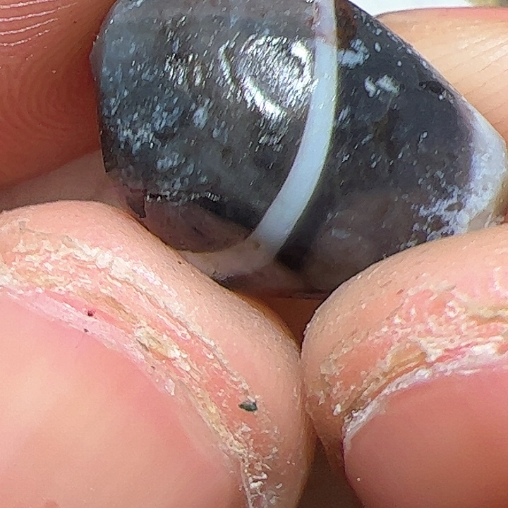 香榧木在家了一个