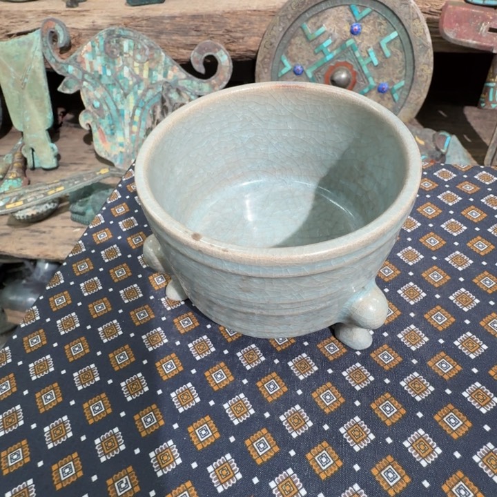 茶宠888888888888888888