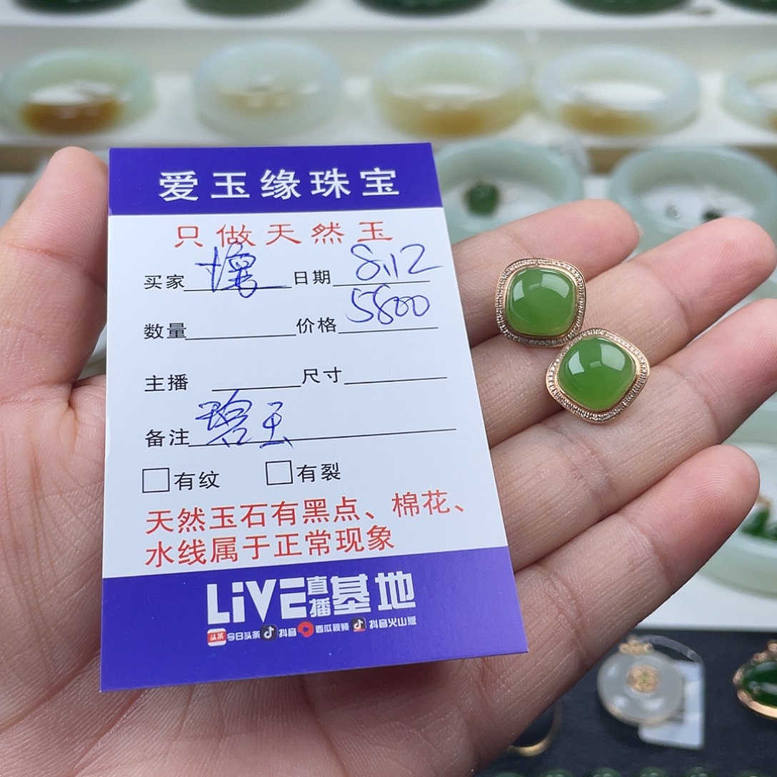 壞***e和田玉（碧玉）18K金镶嵌珠宝奇石耳环