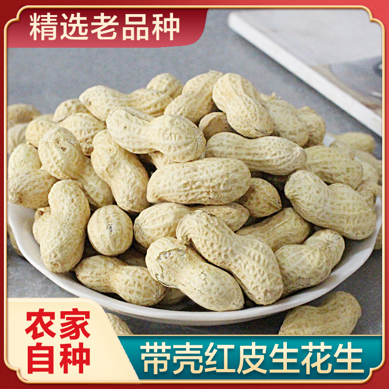 当季新四粒红皮花生果食用带壳生花生米农家经典晒干美味醇香