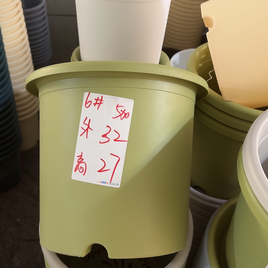 微瑕6号带托，果绿5个，米黄5个