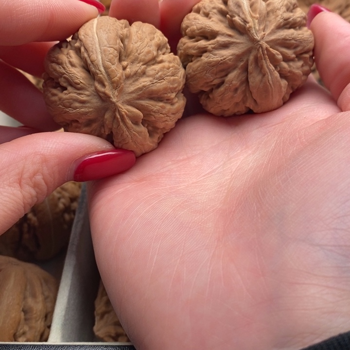 与***尘文玩核桃把件霸王龙