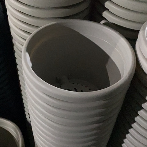 树脂四季3号微瑕灰白无托10个