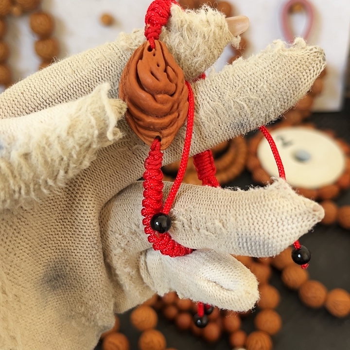 私***乐探讨158969969999