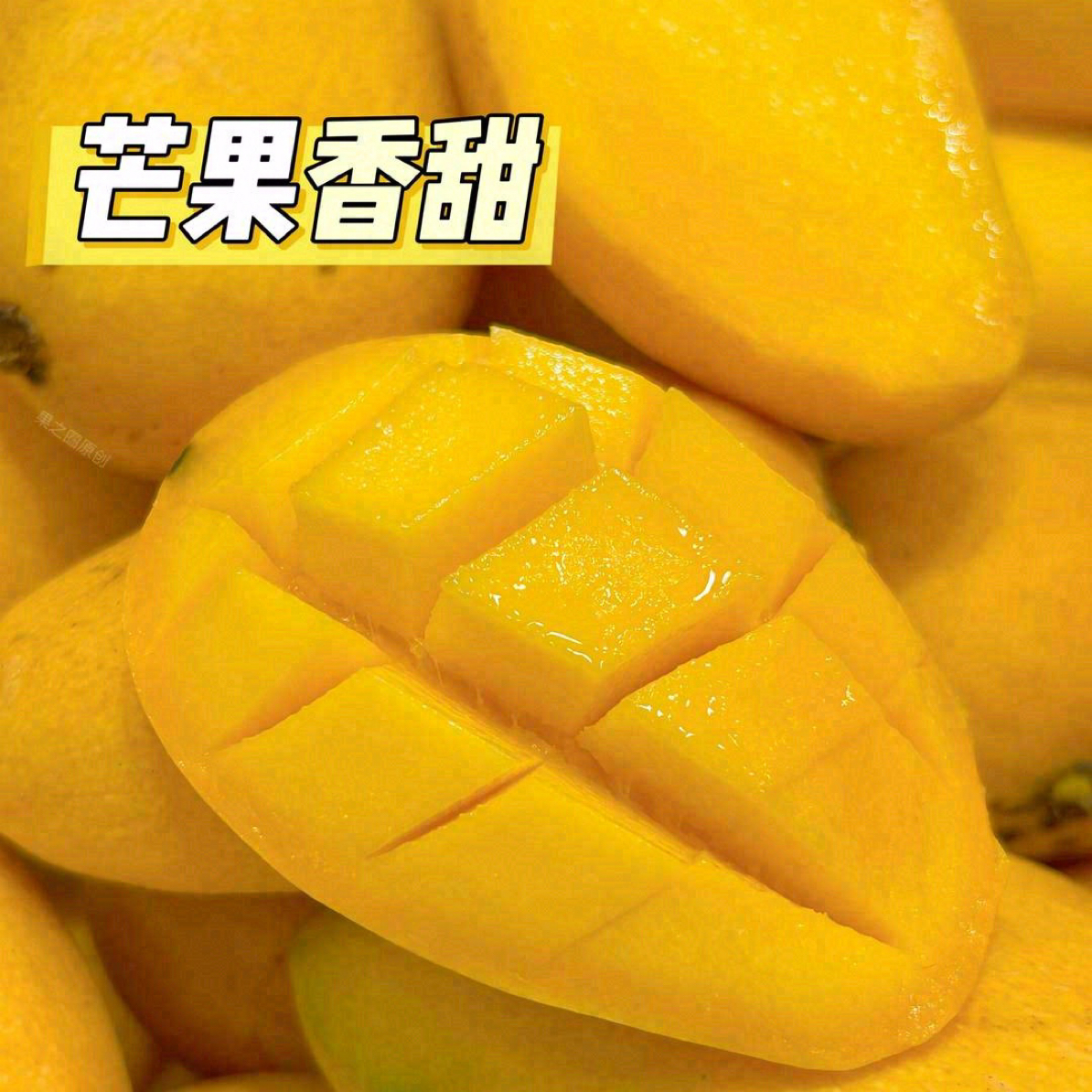 小台芒芒500g（配送到家）