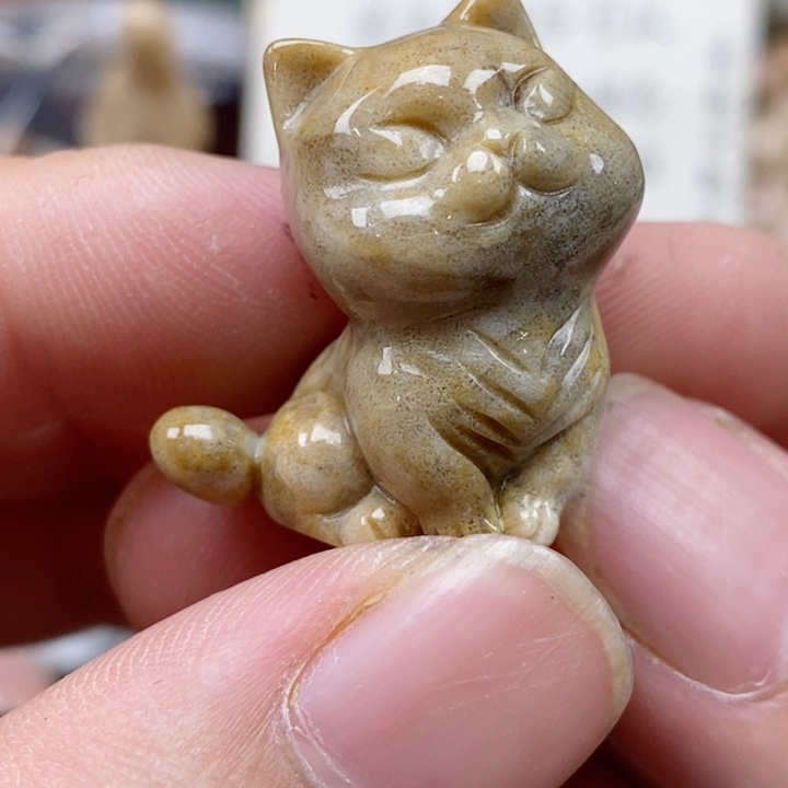 硅化珊瑚（珊瑚玉）未镶嵌颈饰