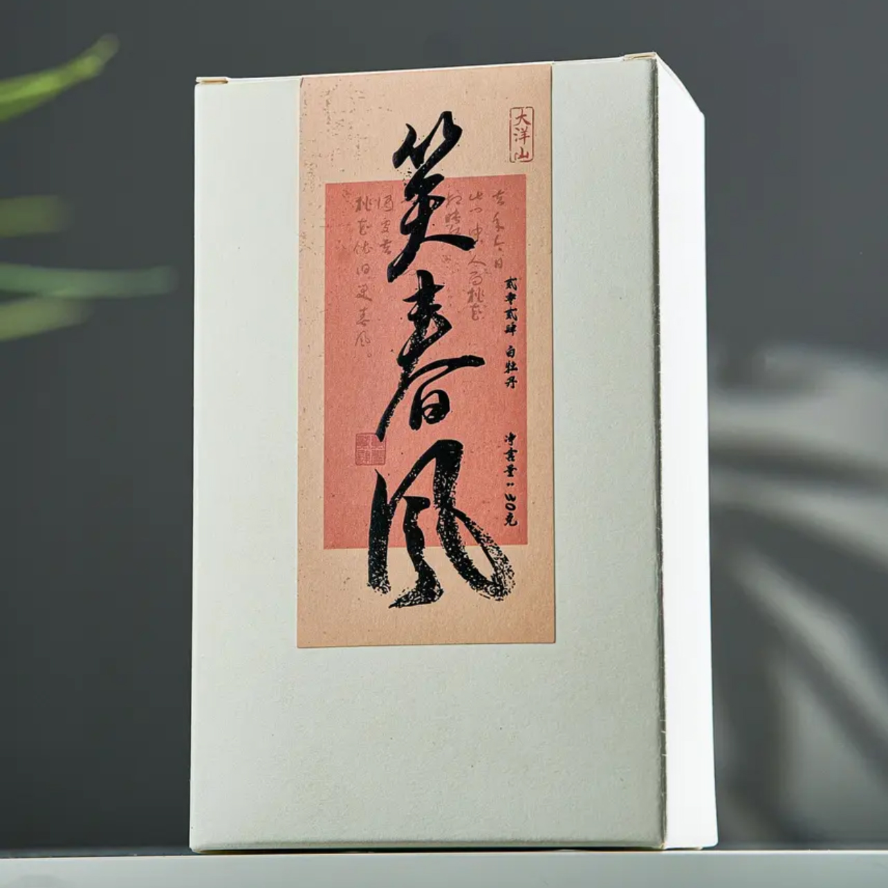 磻龙号茶叶【笑春风】白牡丹白茶2024年盒装30g福鼎散茶